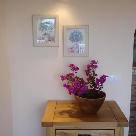 Rosa Moraira